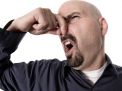 Топ 8 сајтова предмета са ФОН-а из...