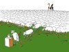 Блог - избори уживо!