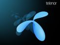 Telenor d.o.o.  Business transformation intern