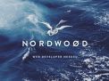 Конкурс за  позицију Web Developer-а у Nordwood-у